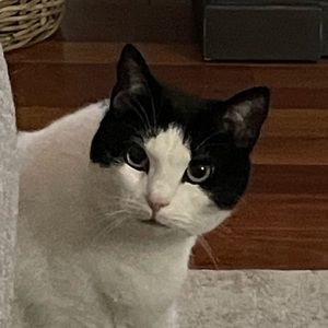 Meet your Posher, Trish